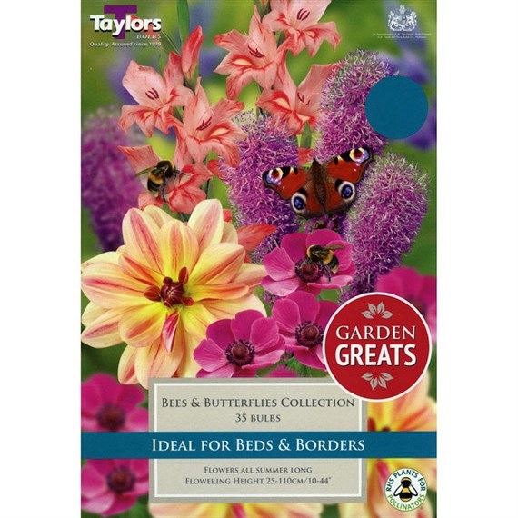 Taylors Bulbs Bees And Butterflies Collection (30 Pack) (SV303)