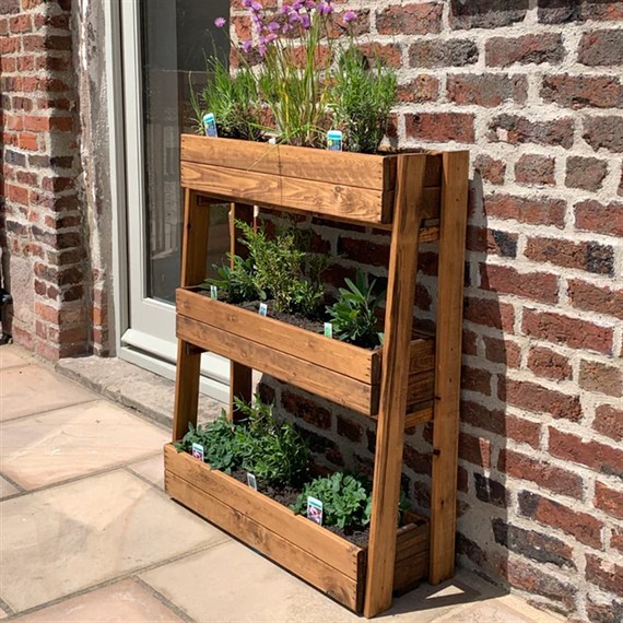 Charles Taylor Country Kitchen Herb Garden Medium (Hb214)