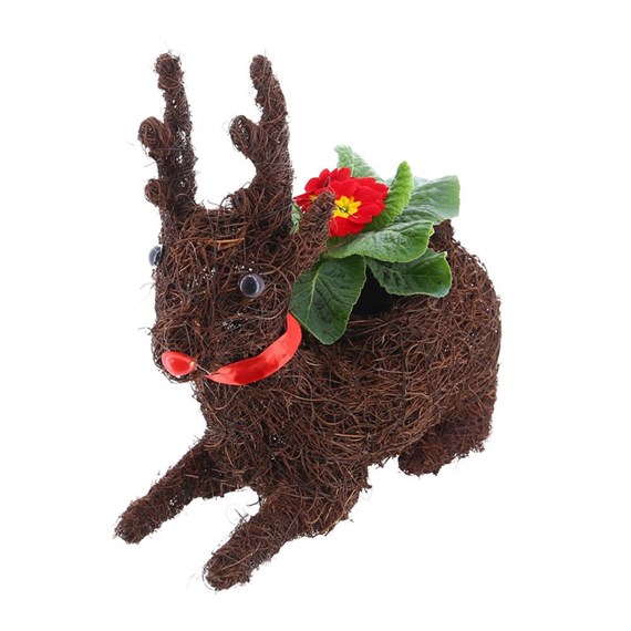 Christmas Bedding Outdoor Potted Arrangement Laying Reindeer