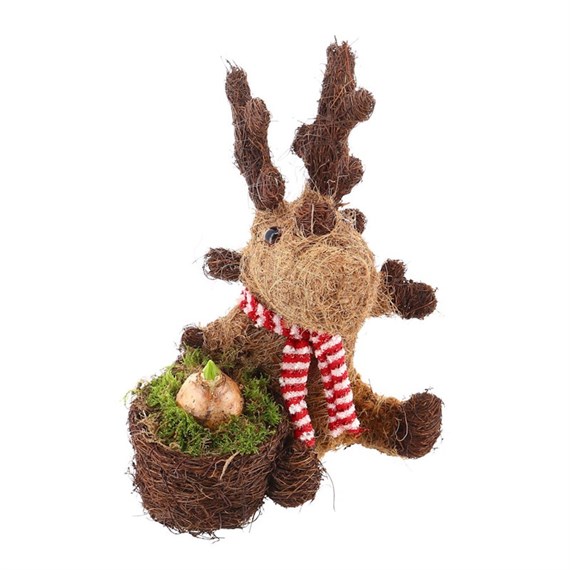 Christmas Bedding Outdoor Potted Arrangement Reindeer Container