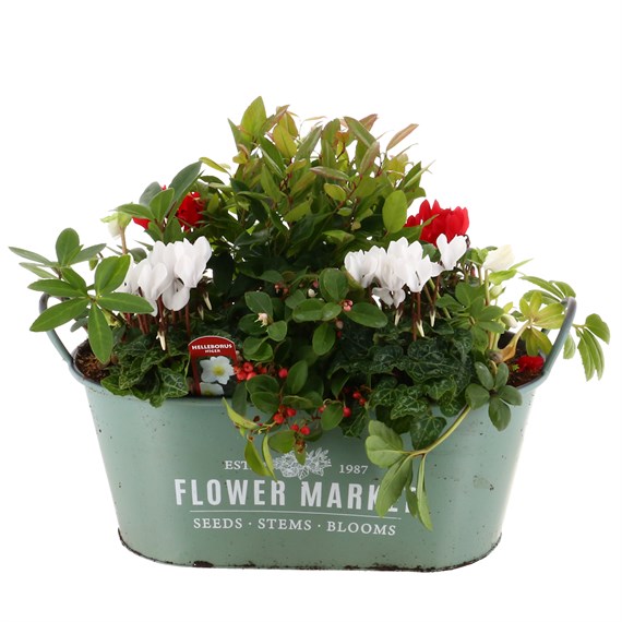 Christmas Festive Extra Large Green 'Flower Market' Trough Bedding Planter