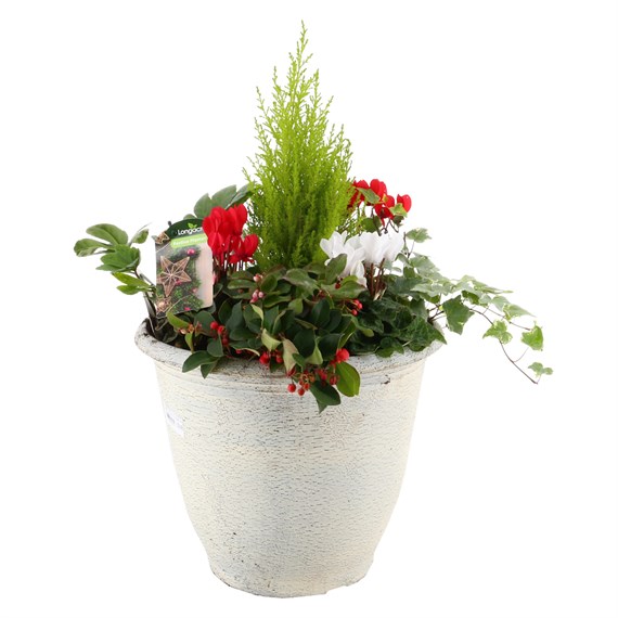 Christmas Festive Large Distressed White Trough Bedding Planter