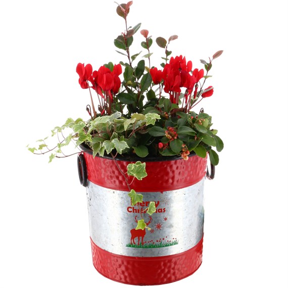 Christmas Festive Large Galvanised 'Merry Christmas' Red Bedding Planter