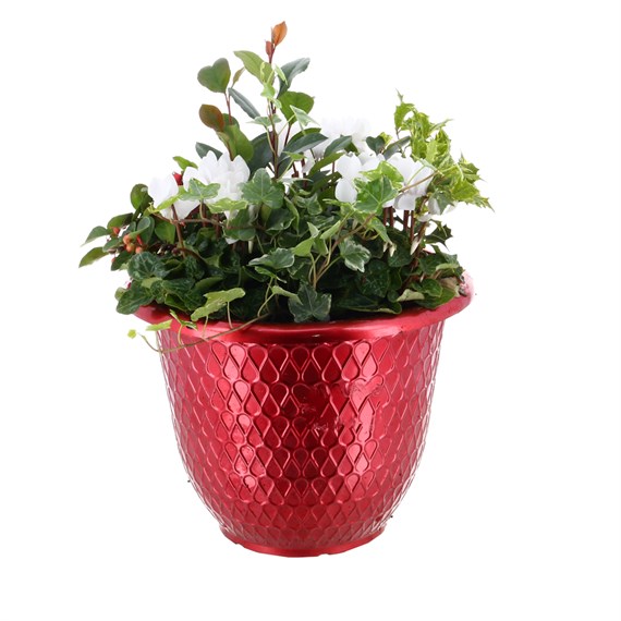 Christmas Festive Large Red Metallic Teardrop Design Plastic Bedding Planter