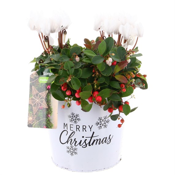 Christmas Festive Small 'Merry Christmas' White Bucket Bedding Planter