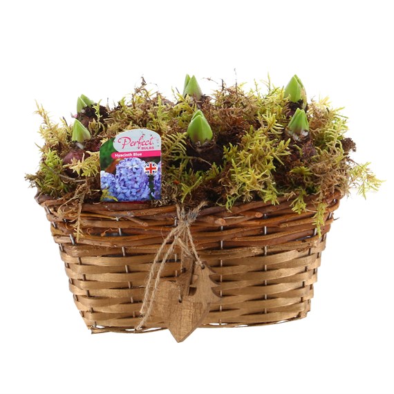 Christmas Festive Wicker Hyacinth Basket with Hanging Decorations Bulb Planter - Blue