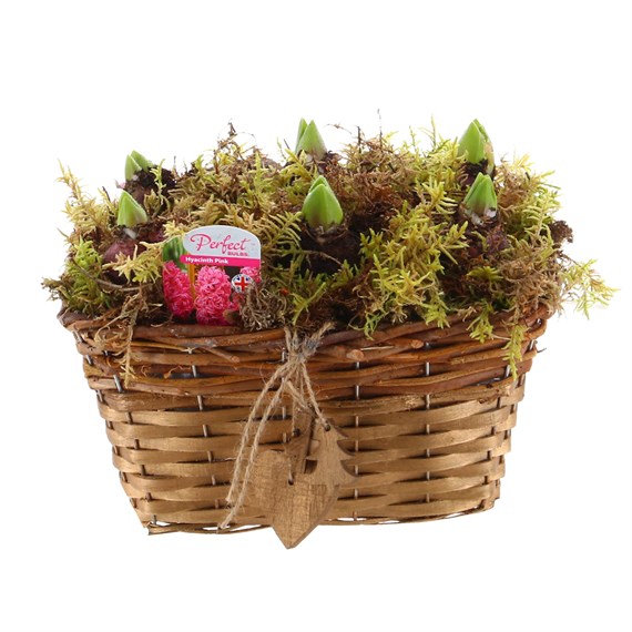 Christmas Festive Wicker Hyacinth Basket with Hanging Decorations Bulb Planter - Pink