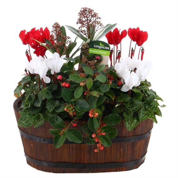 Christmas Festive Wooden Barrell Trough Bedding Planter