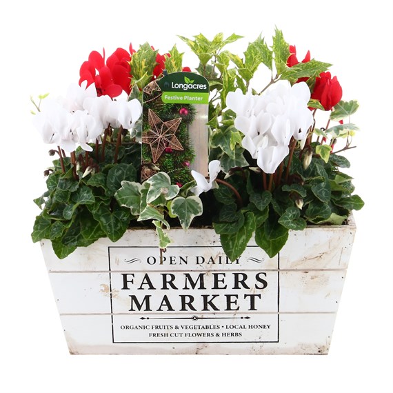 Christmas Festive Wooden 'Farmers Market' Design Trough Bedding Planter