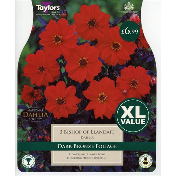 Taylors Bulbs Dahlia Bishop Of Llandaff (2 Pack) (XL535)