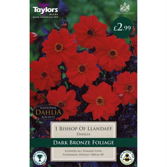 Taylors Bulbs Dahlia Bishop Of Llandaff (Single Pack) (TS302)