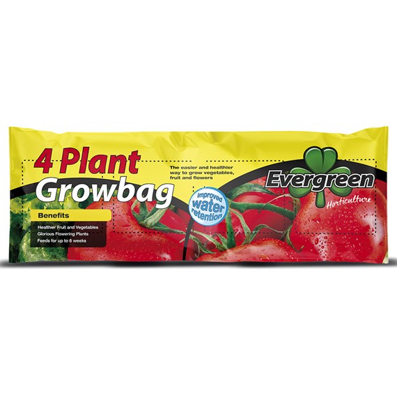 Evergreen 4 Plant Growbag Vegetable Compost 36L