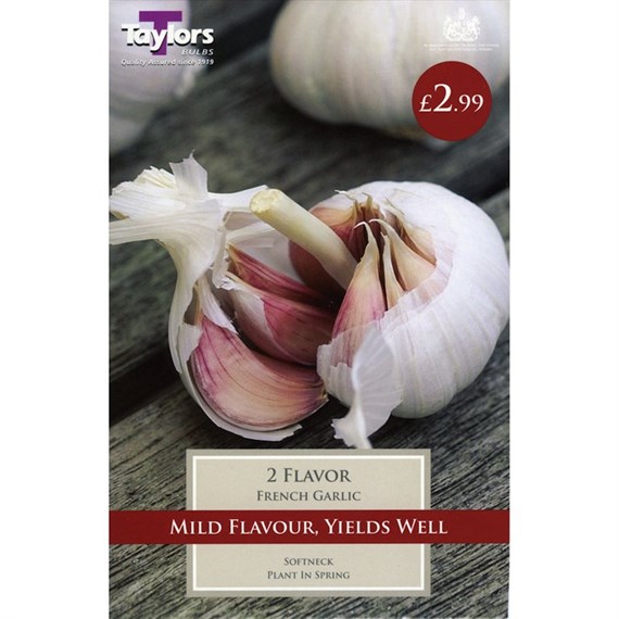 Taylors Bulbs French Garlic Flavor (2 Pack) (SVEG9F)