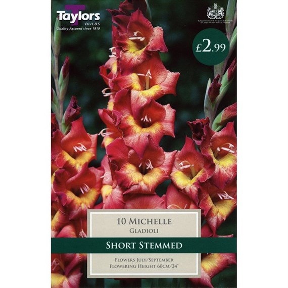 Taylors Bulbs Gladioli Michelle (10 Pack) (TS138)