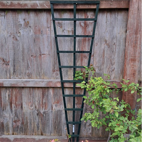 Honeysuckle 5ft x 1.5ft Green Fan Trellis (0950)