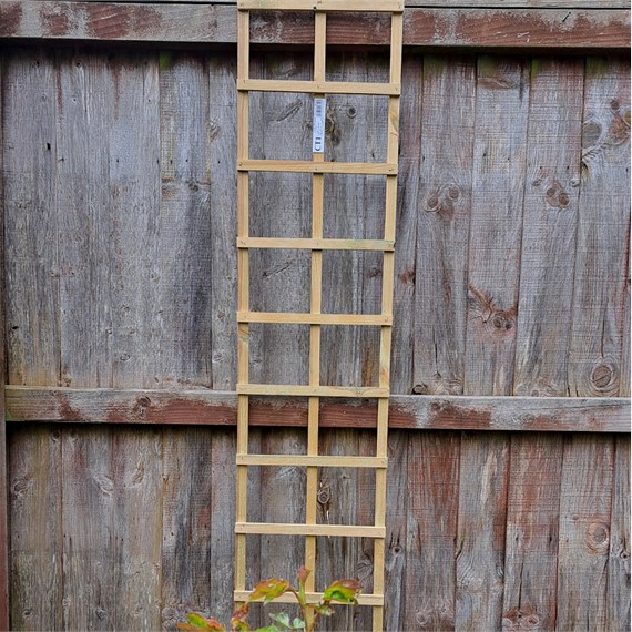 Honeysuckle 6ft x 1ft Natural Square Trellis (0310)