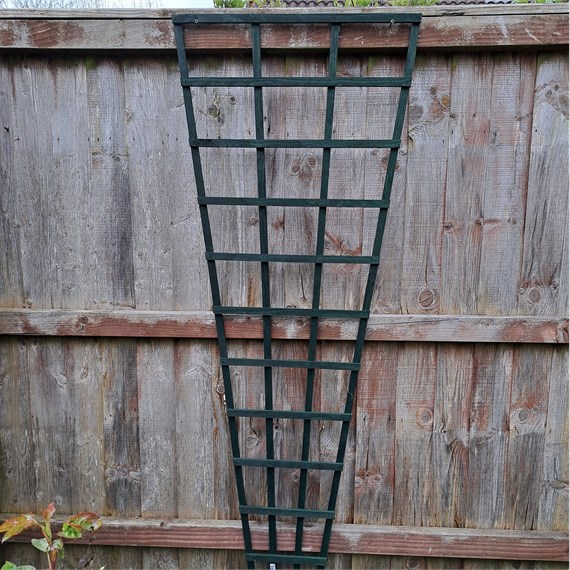 Honeysuckle 6ft x 2ft Green Fan Trellis (0960)