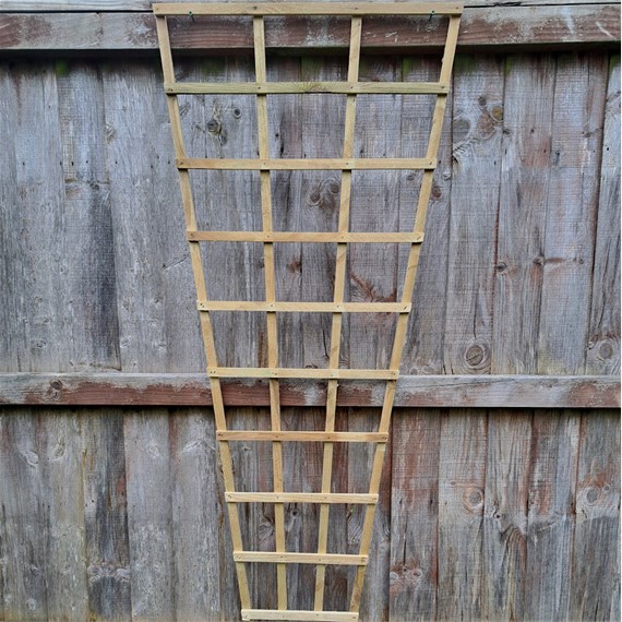 Honeysuckle 6ft x 2ft Natural Fan Trellis (1360)