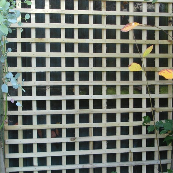 Honeysuckle 6ft x 2ft Natural Light Screen Trellis (2120)