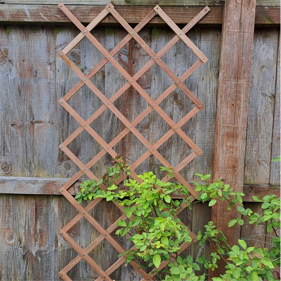 Honeysuckle 6ft x 2ft Natural Riveted Trellis (7020)