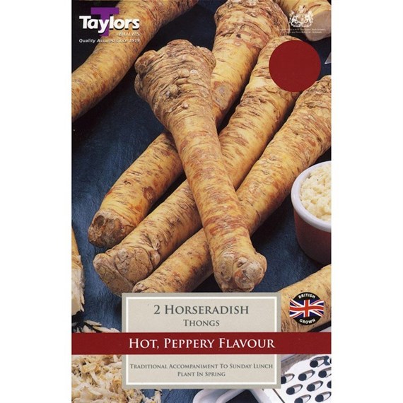 Taylors Bulbs Horseradish (2 Thongs Pack) (SVEG18)