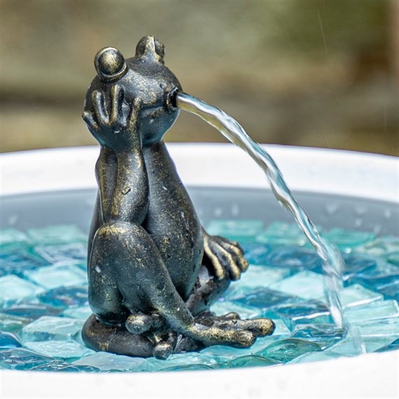 Hydria Water Feature Collectible Fountin Head - Fribett the Frog - Direct Dispatch (P-487639)