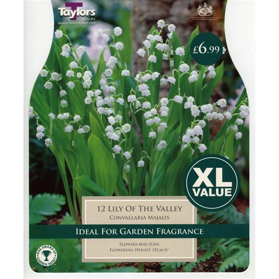 Taylors Bulbs Lily Of The Valley (Convallaria Majalis) (5 Pack) (XL585)