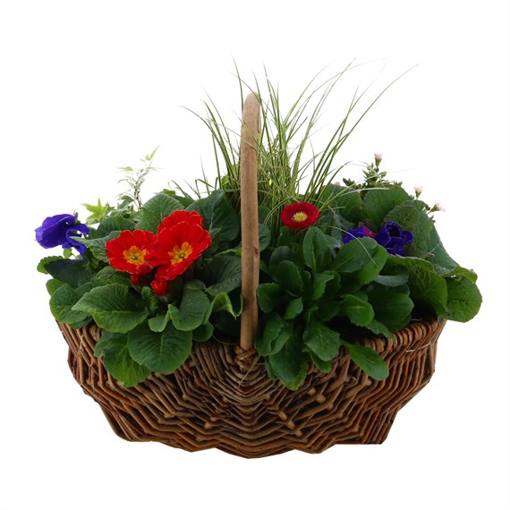 Mother's Day Large Brown Wicker Woven Bedding Outdoor Planted Trug Arrangement