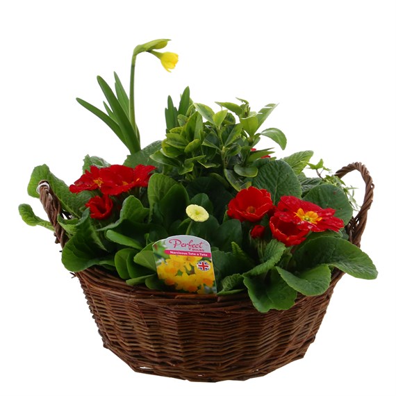 Mother's Day Planted Brown Wicker Woven Basket Bedding Outdoor Arrangement