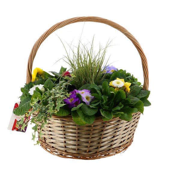 Mother's Day Planted Extra Large Wicker Basket Bedding Outdoor Arrangement