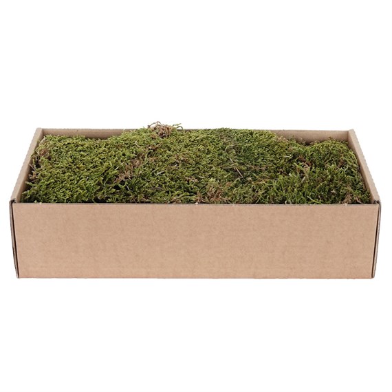 My Village - Christmas Village Accessories Flat Moss Dried 500G Green & Brown (MYD73)