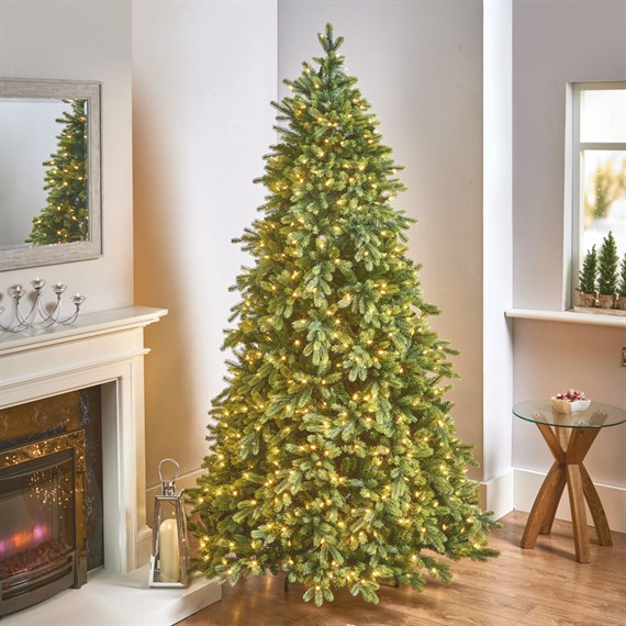 National Tree 2m (6.5ft) Lawrence Fir Pre Lit Artificial Christmas Tree with 650 Warm White LEDs (PELE2-307LB-65)