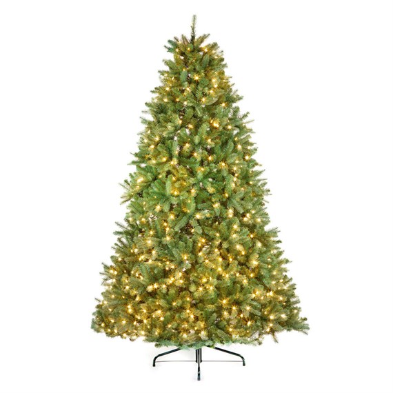 National Tree 2m (6.5ft) Newberry Blue Spruce Pre Lit Artificial Christmas Tree with 650 Warm White LEDs (PENDB2-300LB-65)