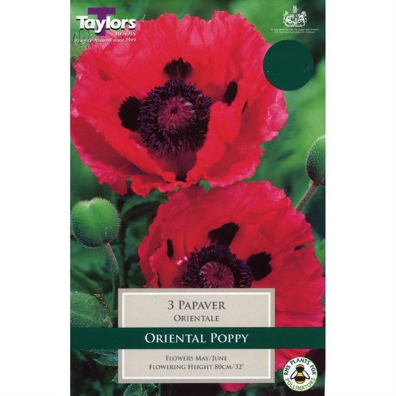 Taylors Bulbs Papaver Orientale (3 Pack) (TS830)