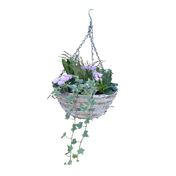 Planted Mixed Spring Bedding Mossed Hanging Basket 35cm Pot