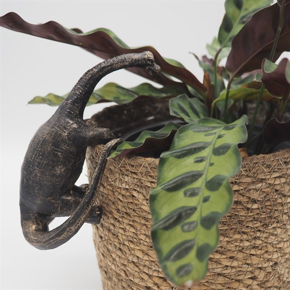 Potty Feet Decorative Pot Buddies - Antique Bronze Brachiosaurus (PB0038)