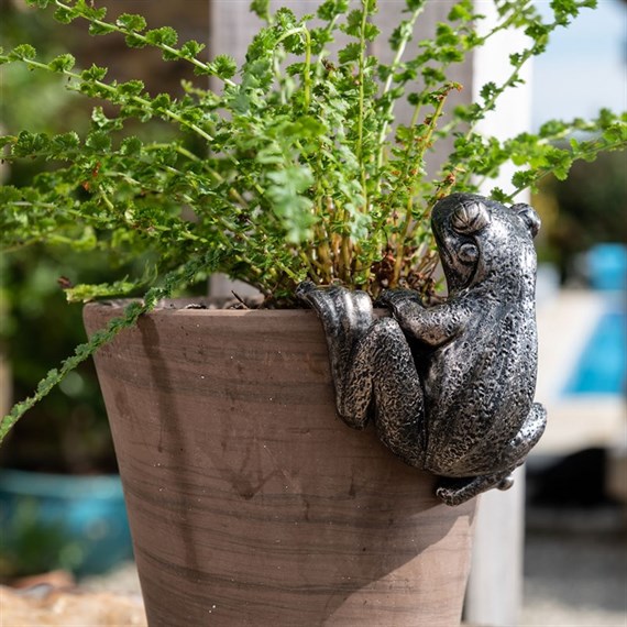 Potty Feet Decorative Pot Buddies - Antique Bronze Frog (PB0004)