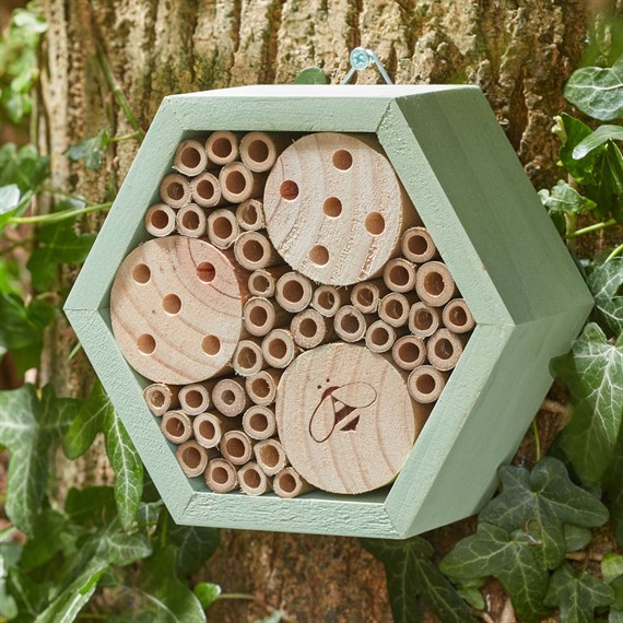 Smart Garden Mason Bee HexBox Inscet Hotel Natural Habitat (7523003)