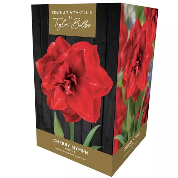 Taylors Bulbs Amaryllis Cherry Nymph Growing Kit (AP93G)