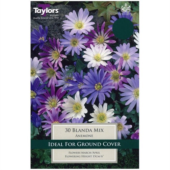 Taylors Bulbs Anemone Blanda Mixed - Pack of 30 (TP709)