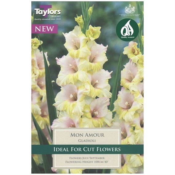 Taylors Bulbs Gladioli Mon Amour (10 Pack) (TS123)