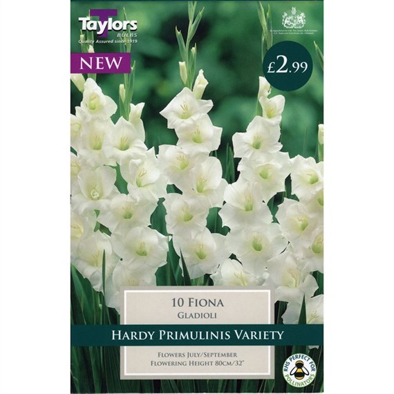 Taylors Bulbs Gladioli Nanus Fiona (8 Pack) (TS164)