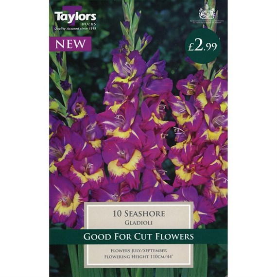 Taylors Bulbs Gladioli Seashore (10 Pack) (Ts142)