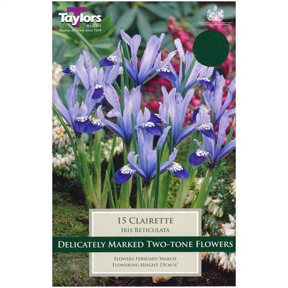 Taylors Bulbs Iris Dwarf Clairette - Pack of 10 (TP1048)