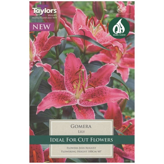 Taylors Bulbs Lily Gomera (2 Pack) (TS537)