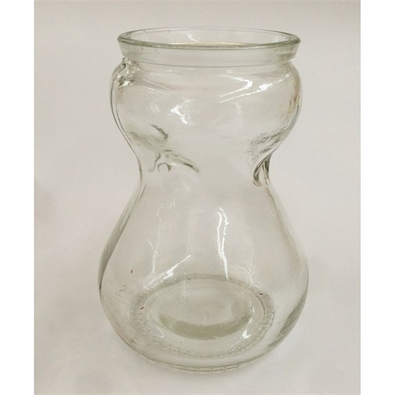 Taylors Bulbs Plain Glass Hyacinth Carafe - Single (GLS1)