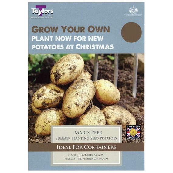 Taylors Bulbs Potato Maris Peer - 10 Pack (VP602)