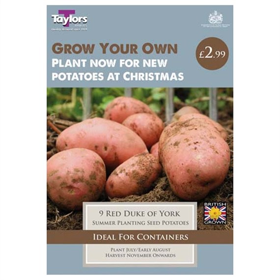 Taylors Bulbs Potato Red Duke Of York - 10 Pack (VP605)