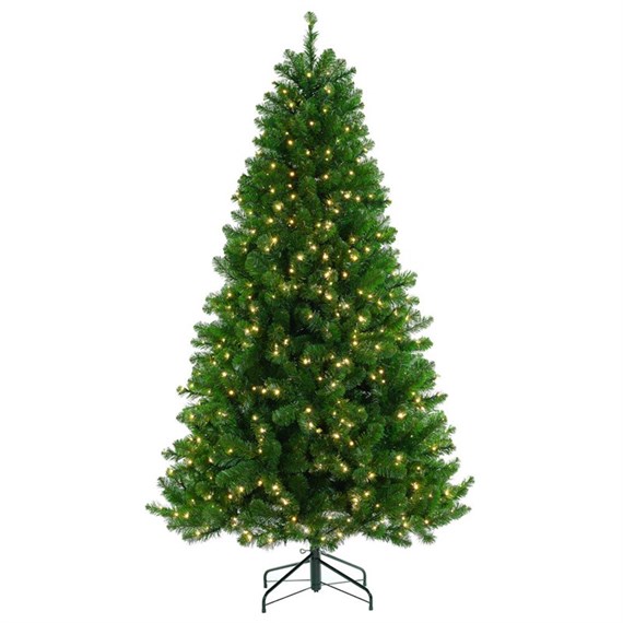 Tree Classics 2.1m (7ft) Blue Green Arctic Spruce Pre-Lit with Warm LEDs Artificial Christmas Tree (H84-854-386LM)