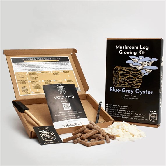 Urban Farm Blue Grey Oyster Mushroom Log Growing Kit (LK-BG-GIFT)